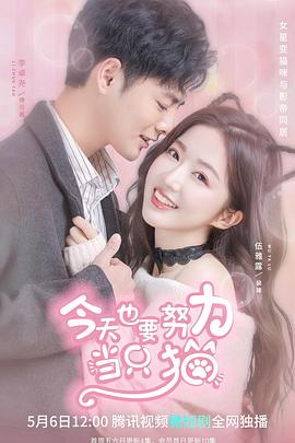 今天也要努力当只猫第01集