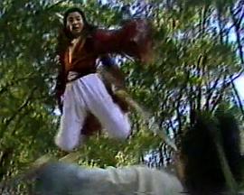 龙凤奇侠第01集