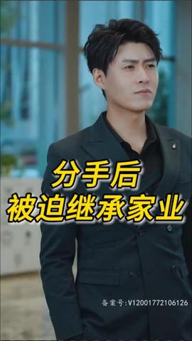 分手后被迫继承家业全集(大结局)