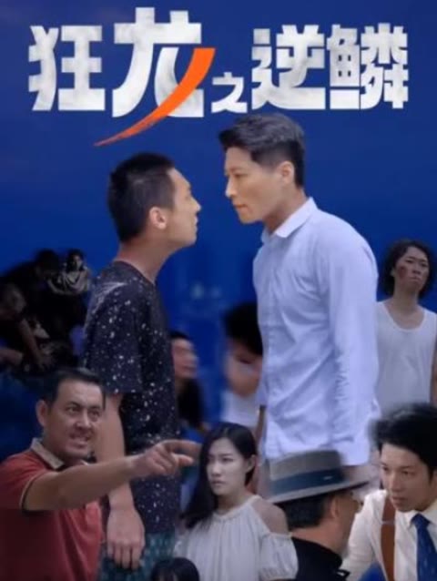 狂龙之逆鳞21-40集