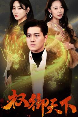 权御天下21-40集