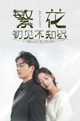 繁花初见不知迟全集(大结局)