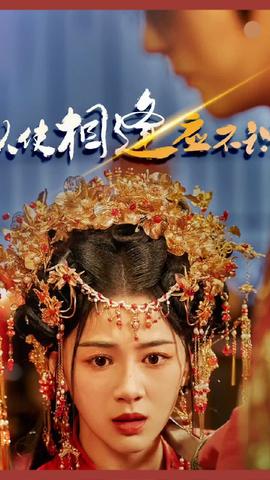 纵使相逢应不识全集(大结局)